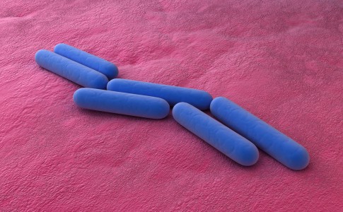 borreliose durch geschlechtsverkehr ausschabung geschlechtsverkehr borreliose durch geschlechtsverkehr ausschabung geschlechtsverkehr