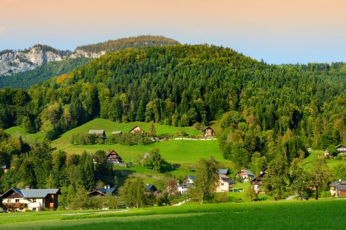 Der Bayerische Wald