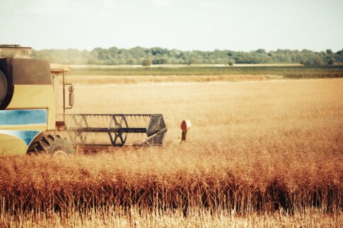 Warum wächst in der Ukraine so viel Getreide?